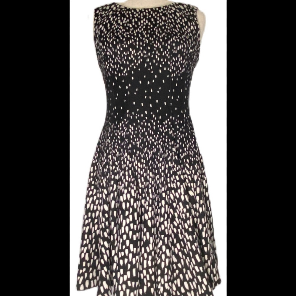 Eliza J Black and White Fit and Flare Mini Dress Nordstrom 20W